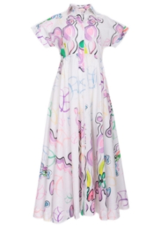 Picture of Delphine Shirt Dress