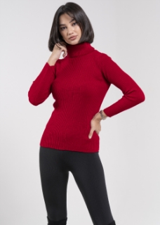 صورة Red Top (Winter Collection)