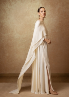 Picture of Layered Cape Dress